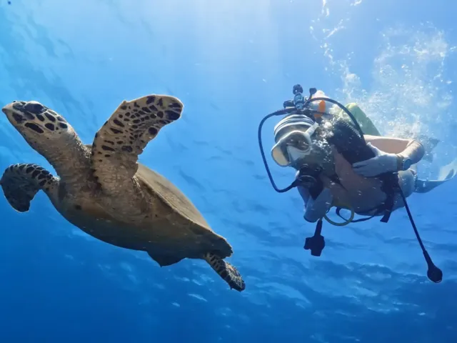 Try scuba diving and kayak day trip in Amed, Bali