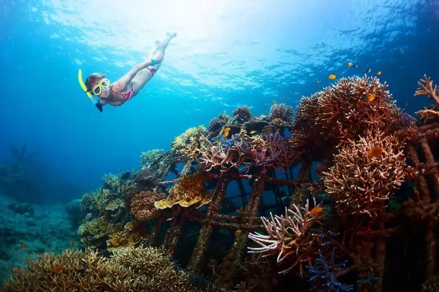 Bali snorkeling tour at Amed with multiple reef stops